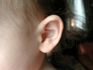 ear-infection Image of a child's ear